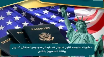 «عقوبات صارمة» قانون الأحوال المدنية غرامة وحبس لمخالفي تسجيل بيانات المصريين بالخارج